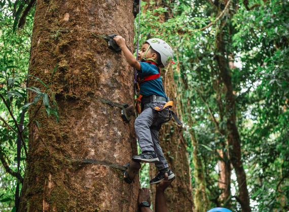 little kid climbing on a tree with safety equipment