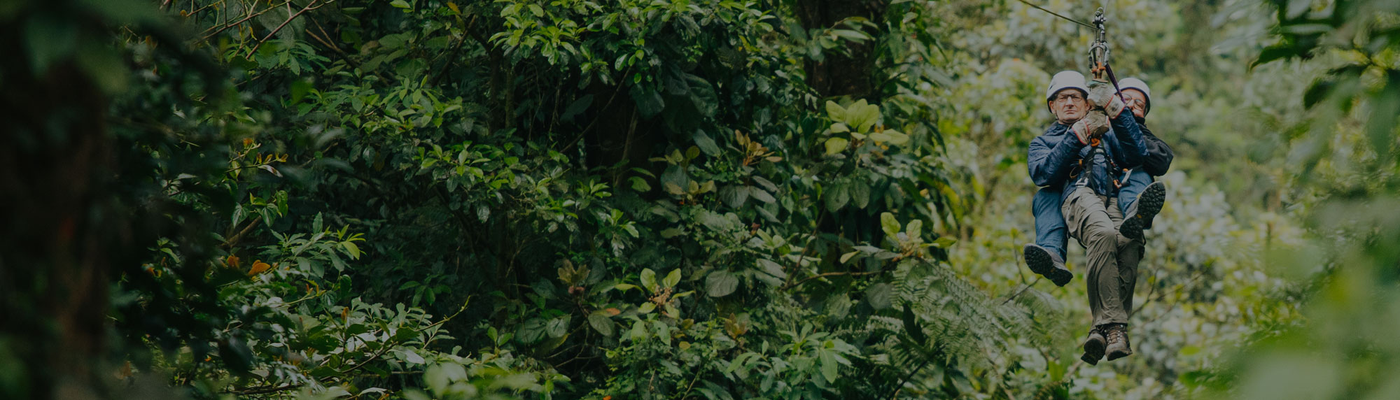 couple going through the middle of the forest on a canopy