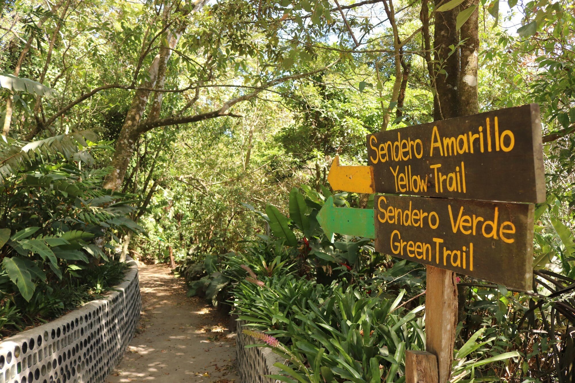 Monteverde Ecological Sanctuary Nature Trail