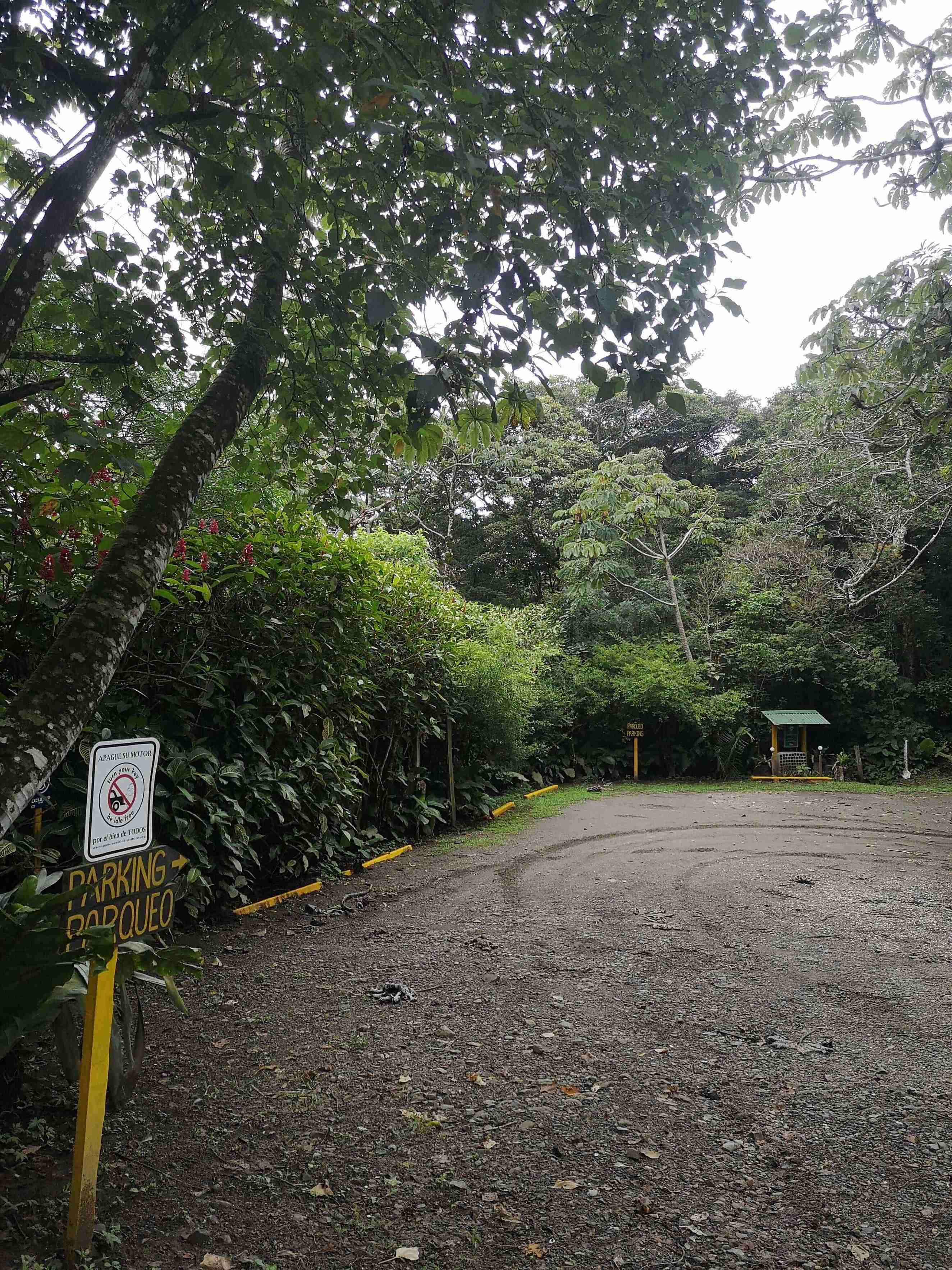 Monteverde Ecological Sanctuary Nature Trail