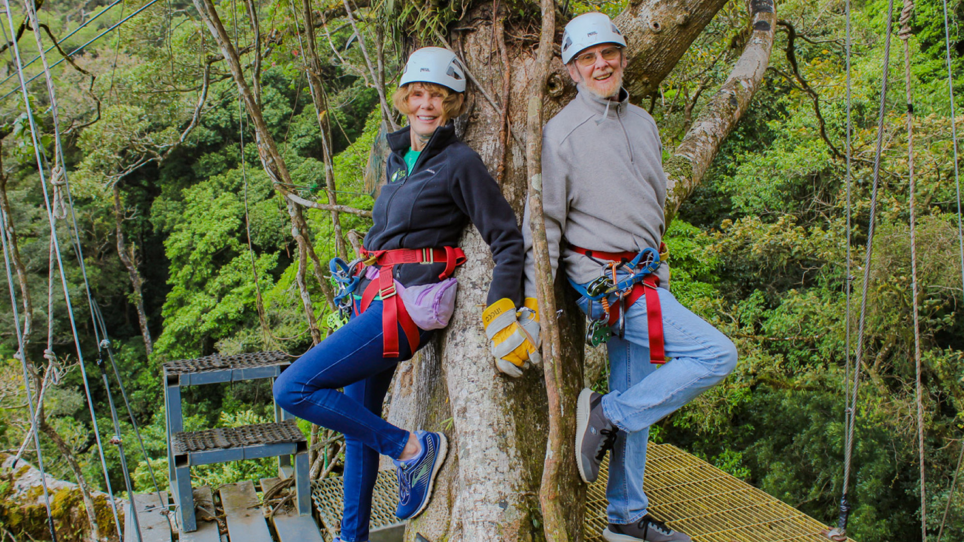 The Original Canopy Tour