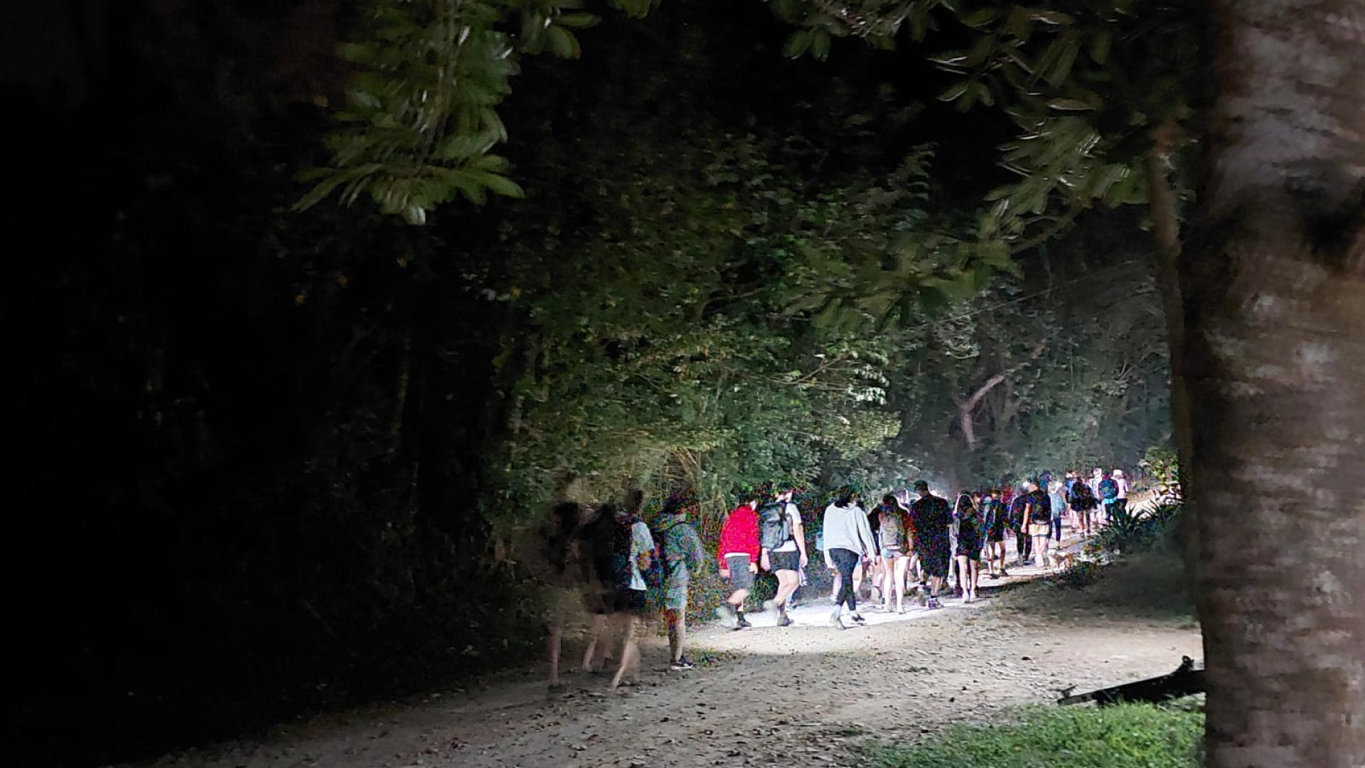 Night Walk in the Biological Corridor