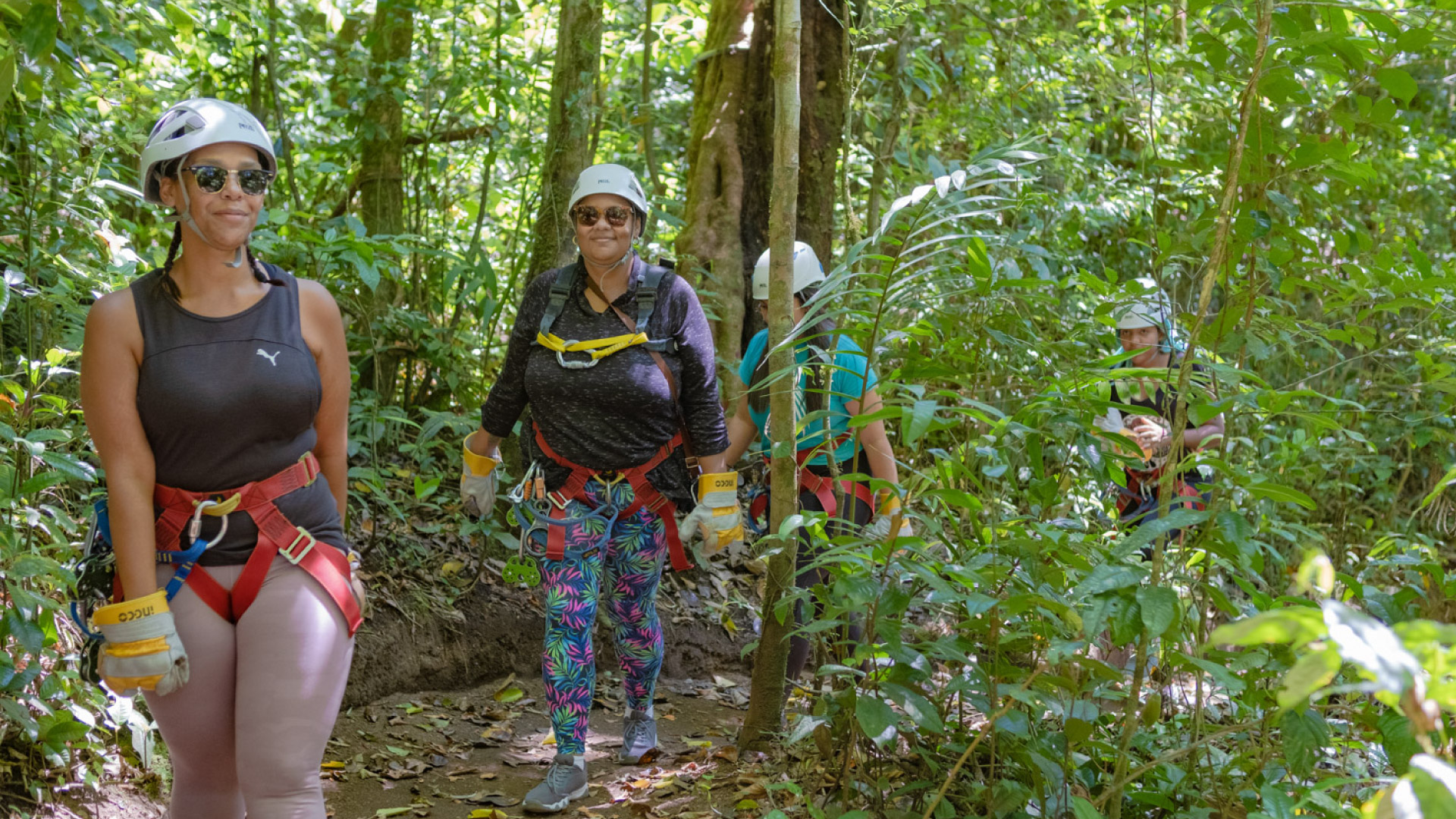 The Original Canopy Tour