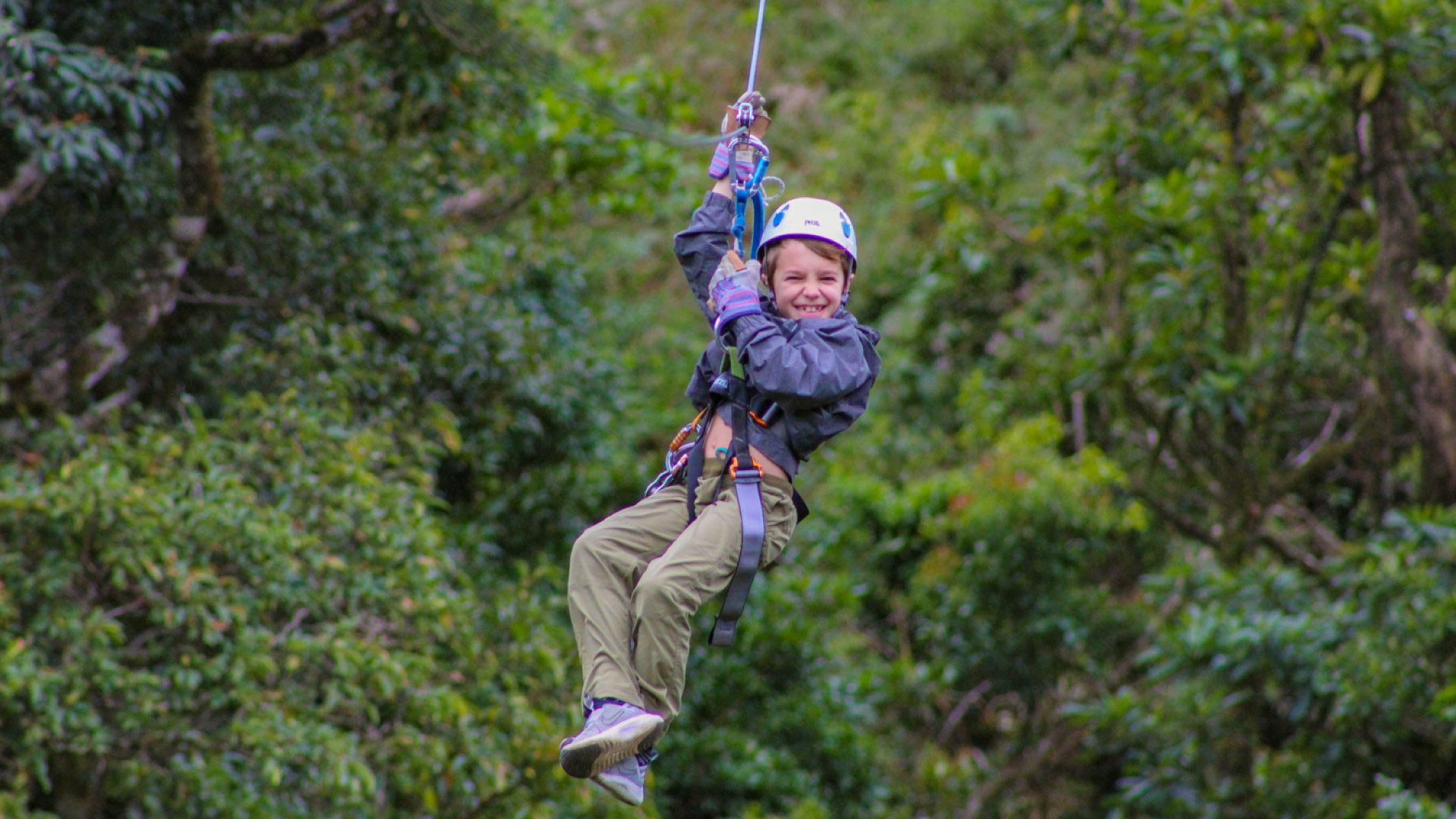 The Original Canopy Tour