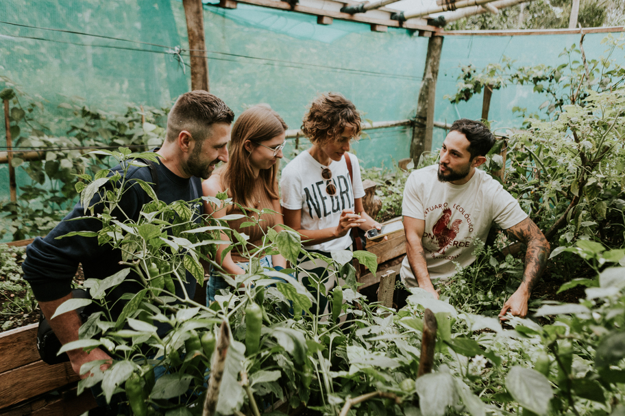 Coffee & Nature - Barista Art in Monteverde