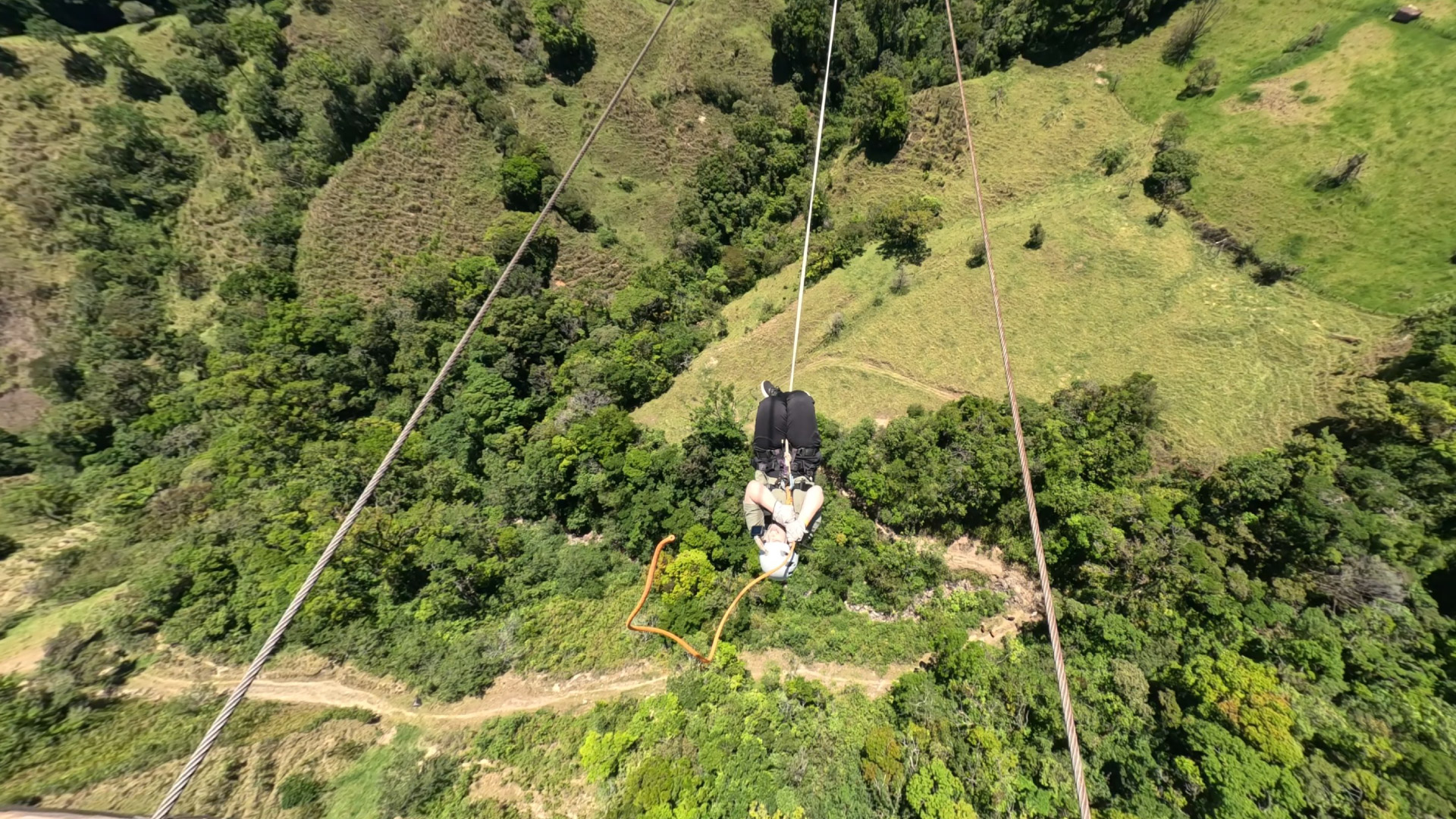 Extreme Tarzan Swing